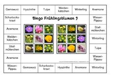 Bingo-Frühlingsblüten-9.pdf